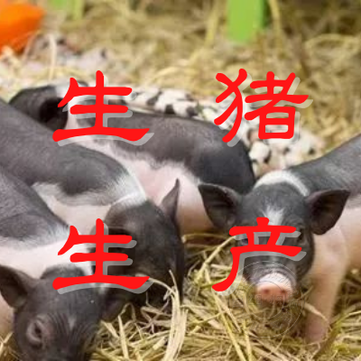 生猪生产形势研讨会在京召开