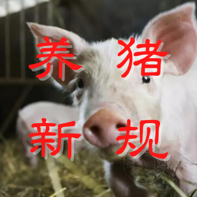 养猪业9条新规，养殖户早知道，早受益！