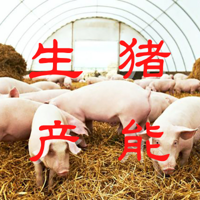 李克强主持召开国常会：​确定稳定生猪产能的措施
