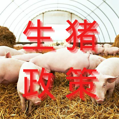 国家六部门联合出手稳“猪”！加强猪肉储备调节